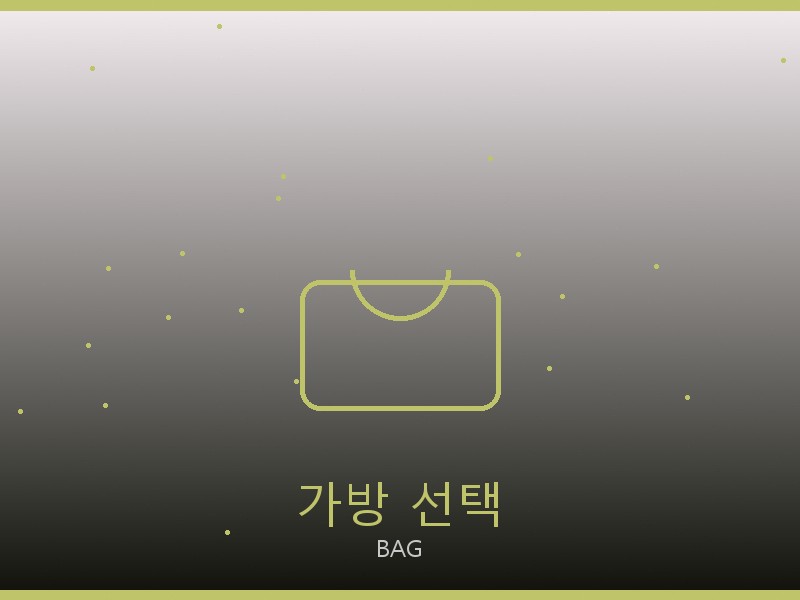 캐리올 PM S급 사이트 가방 선택 가이드