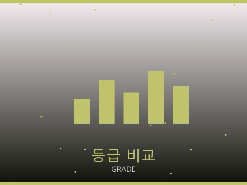 캐리올 PM S급 사이트 등급 기준 비교