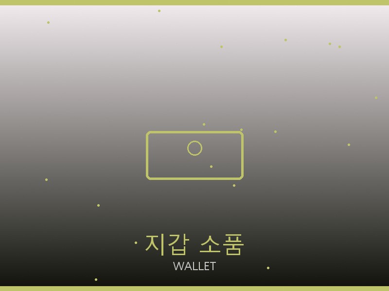 캐리올 PM S급 사이트 지갑·소품 관리